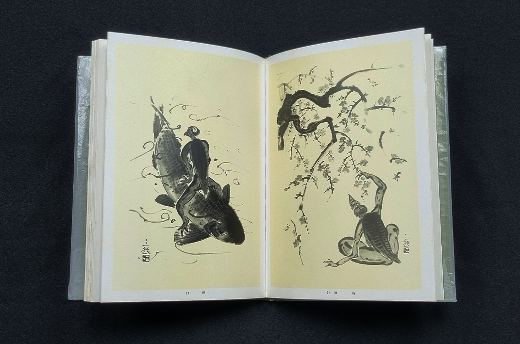 GEBRUIKT - The Many Forms of Kappa - Kodama Misuzu