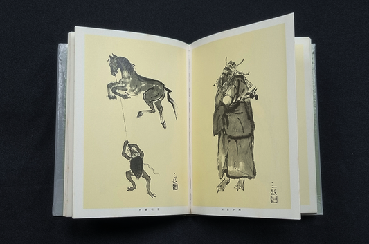 GEBRUIKT - The Many Forms of Kappa - Kodama Misuzu