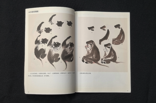 GEBRUIKT - Learn to Paint Monkeys - Chen Zeng Sheng