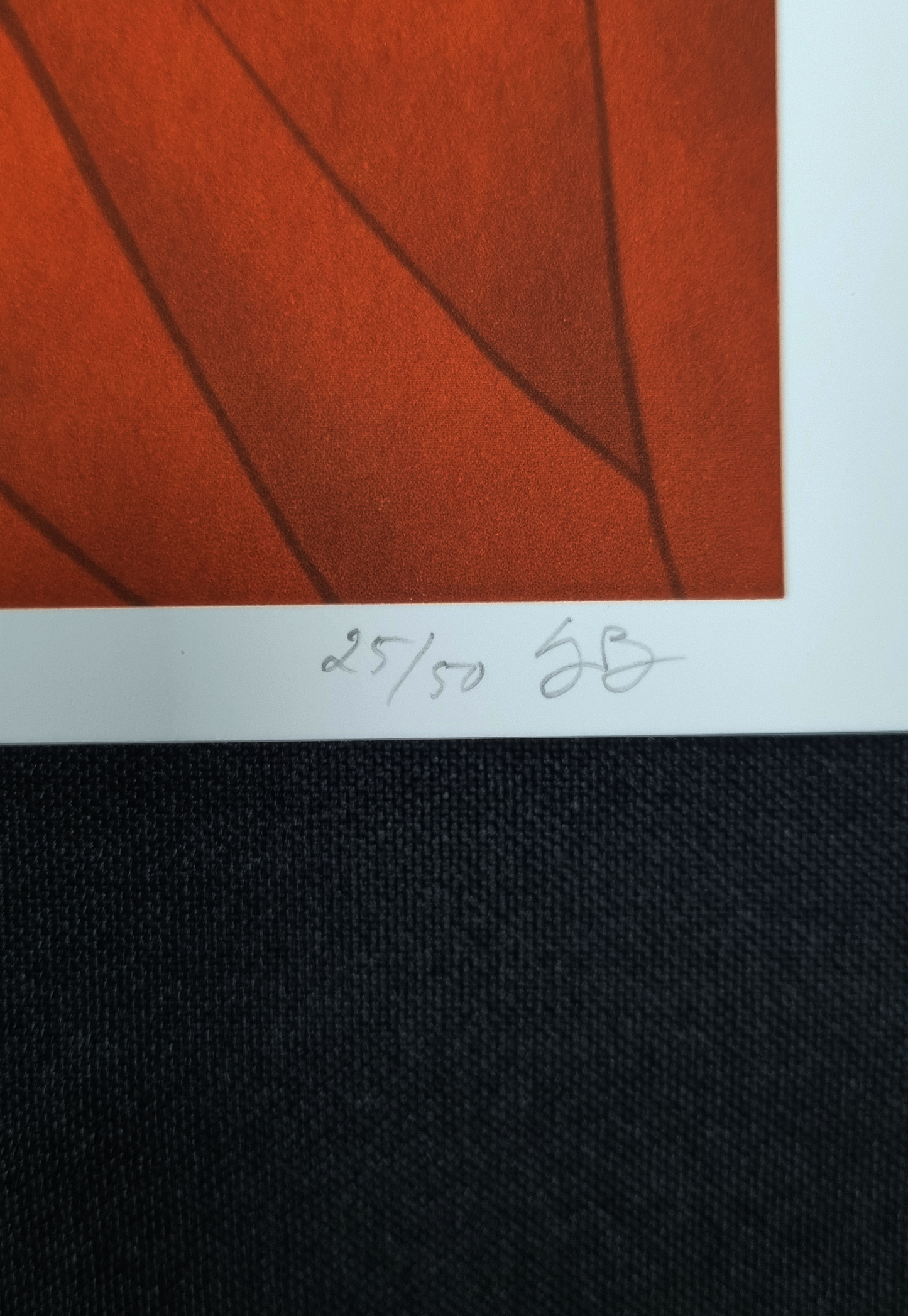 GICLEE - Kumonryu - door Senju