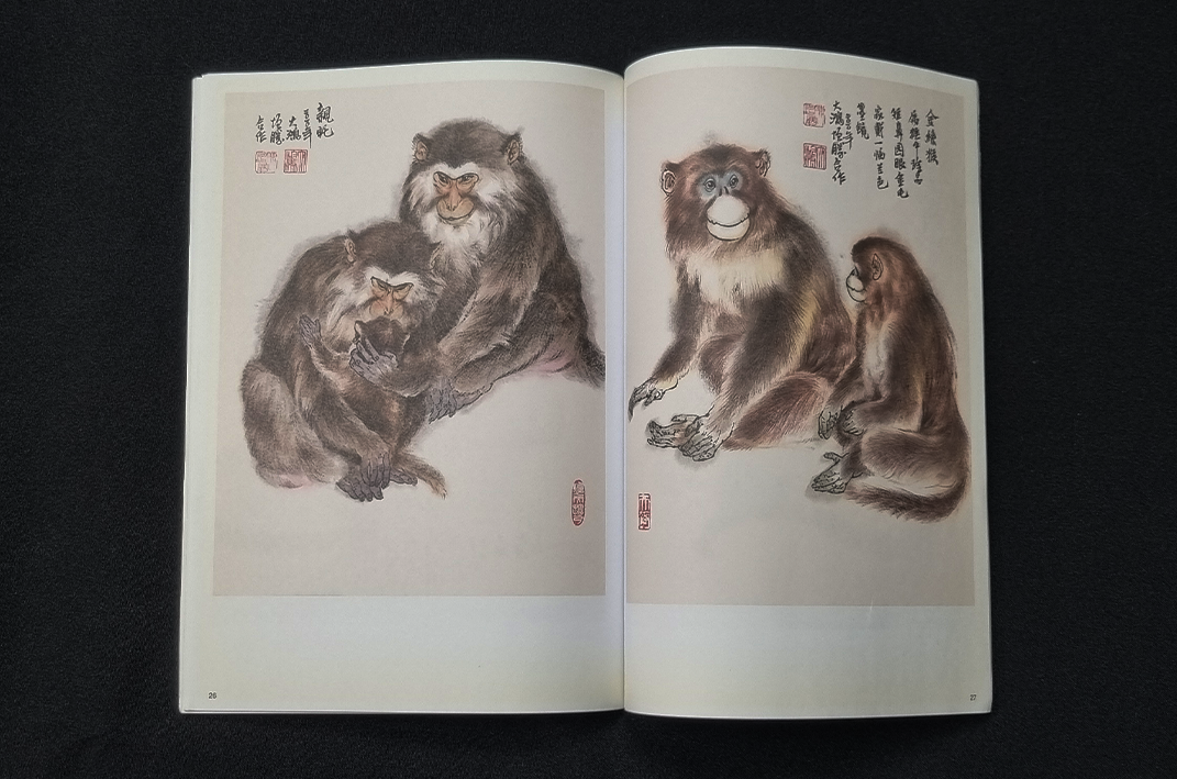 GEBRUIKT - Learn to Paint Monkeys - Chen Zeng Sheng