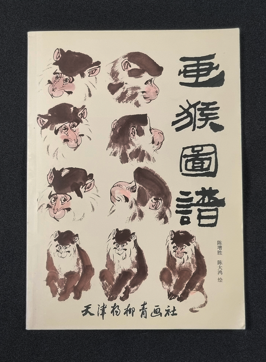 GEBRUIKT - Learn to Paint Monkeys - Chen Zeng Sheng