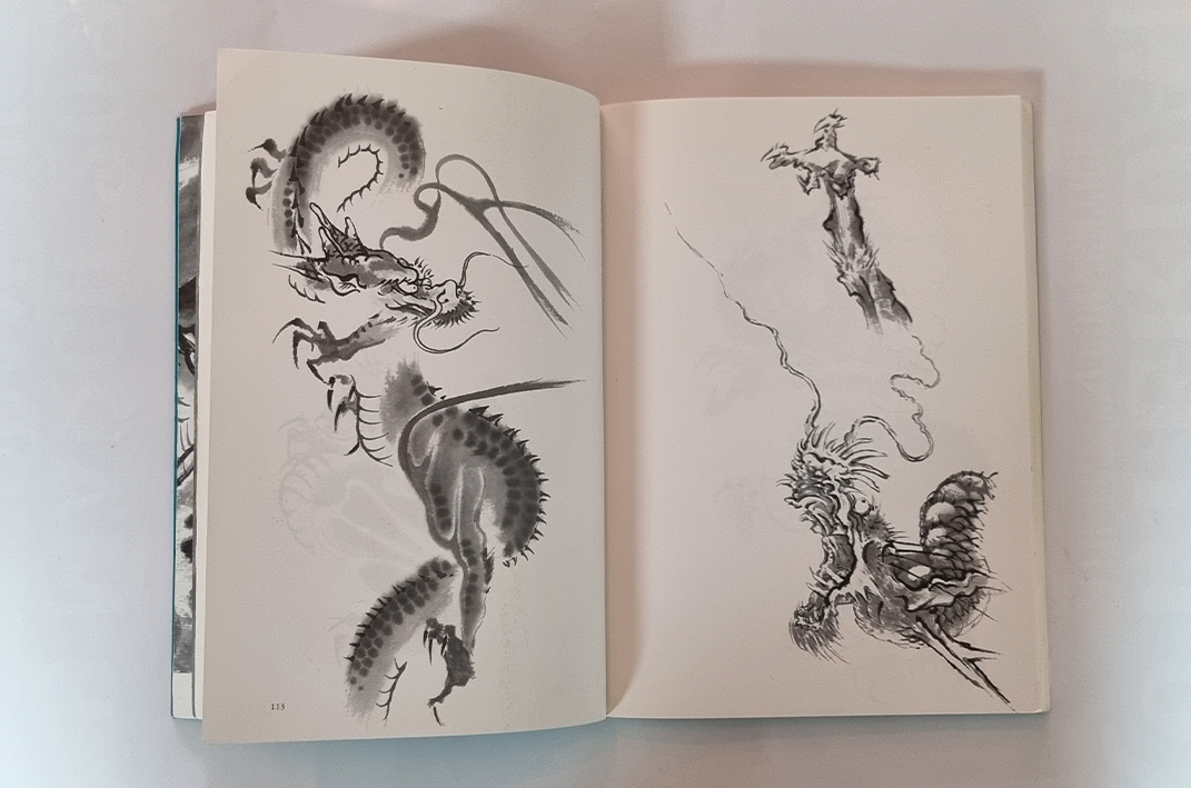 USED ​​- Drawing a Dragon: From Sketches to Works - Tansai Terano