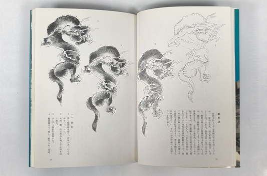 USED ​​- Drawing a Dragon: From Sketches to Works - Tansai Terano