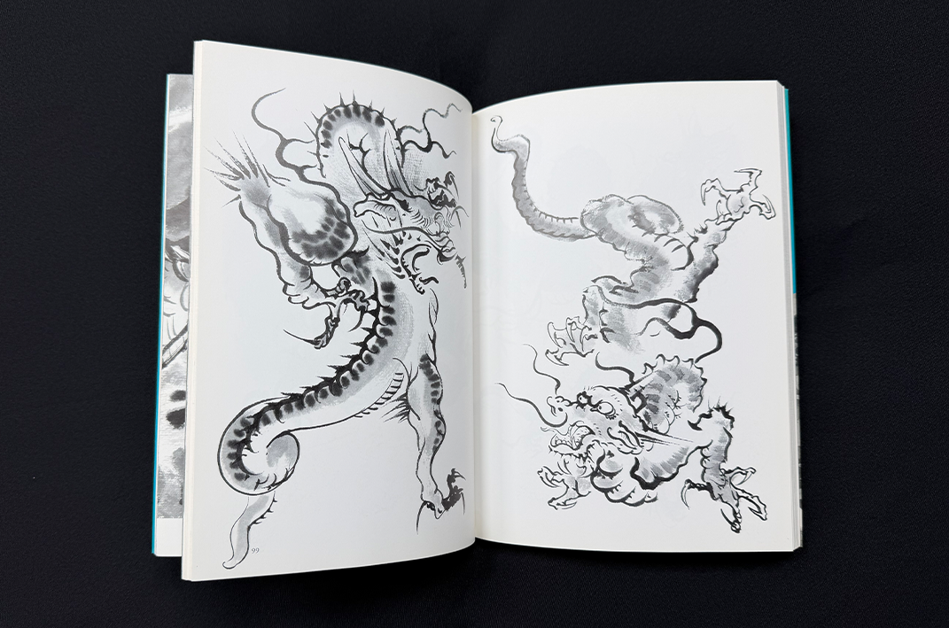 GEBRUIKT - Drawing a Dragon: From Sketches to Works - Tansai Terano