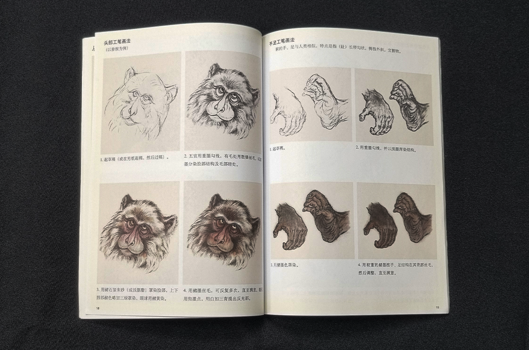 GEBRUIKT - Learn to Paint Monkeys - Chen Zeng Sheng