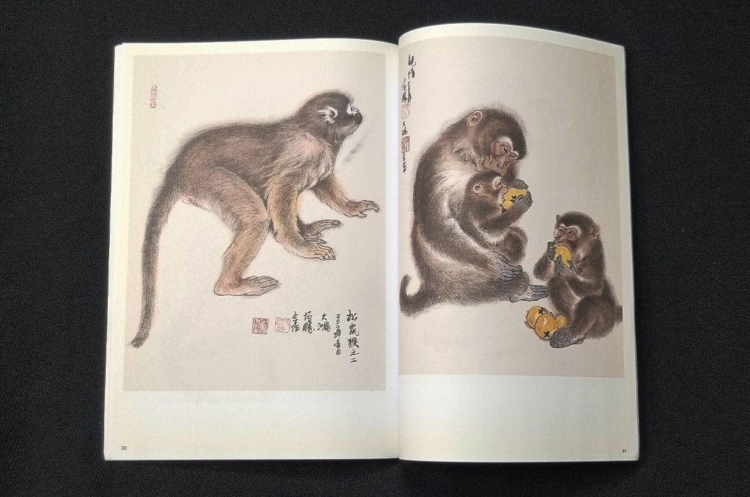 GEBRUIKT - Learn to Paint Monkeys - Chen Zeng Sheng